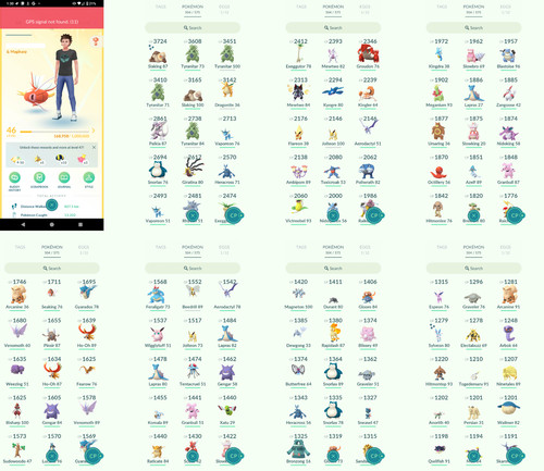 Pokémon acc level - -, 46
