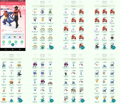 Pokémon acc level 57 - pokémon,