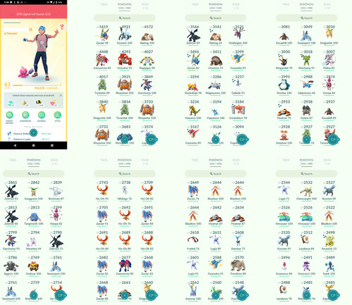Pokémon acc level 63 - pokémon, go