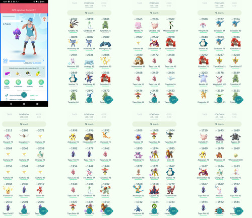 Pokémon acc level 58 - level,