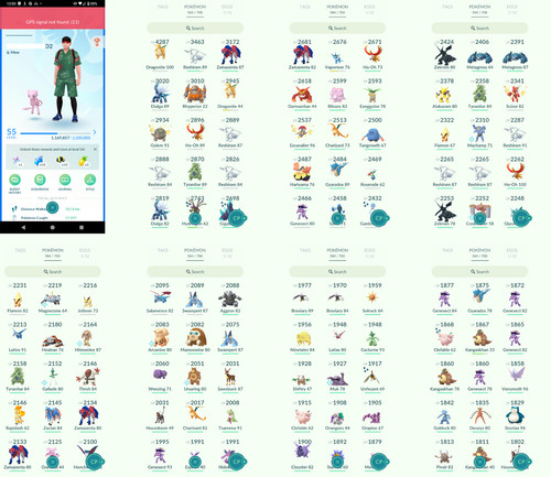 Pokémon acc level 55 - pokémon,