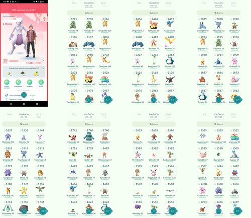 Pokémon acc level 4 - 38,