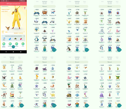 Pokémon acc level 57 - pokémon,
