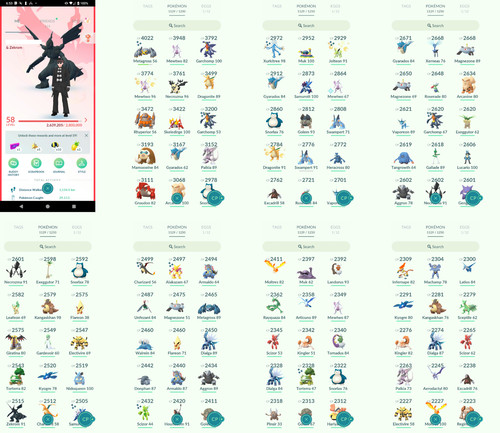 Pokémon acc level 58 - -,