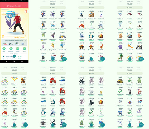 Pokémon acc level 59 - acc,