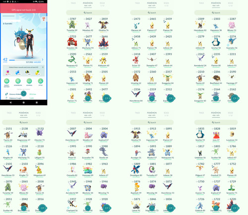 Pokémon acc level 42 - go,