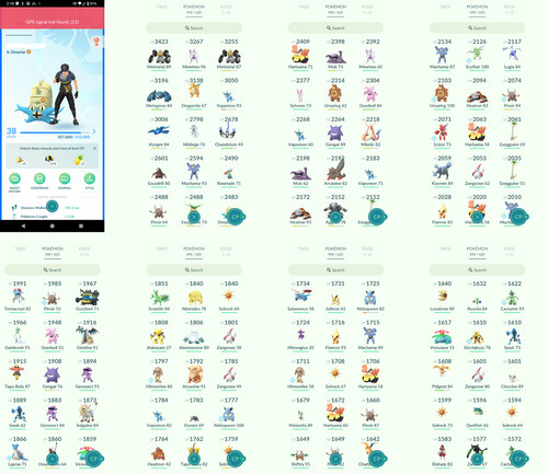 Pokémon acc level 38 - pokémon,