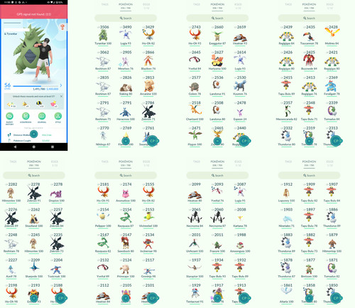 Pokémon acc level 56 - pokémon,