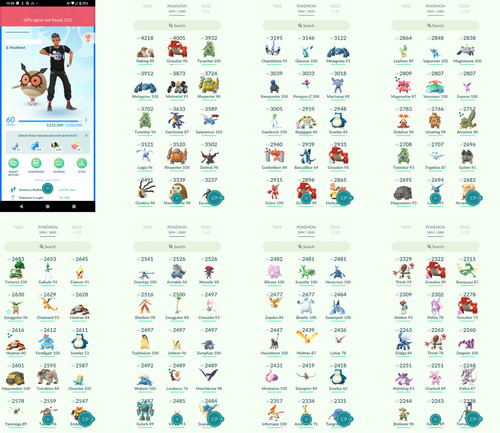 Pokémon acc level - acc,
