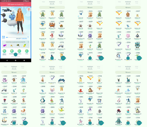 Pokémon acc level 58 - pokémon,