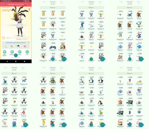 Pokémon acc level 56 - acc,