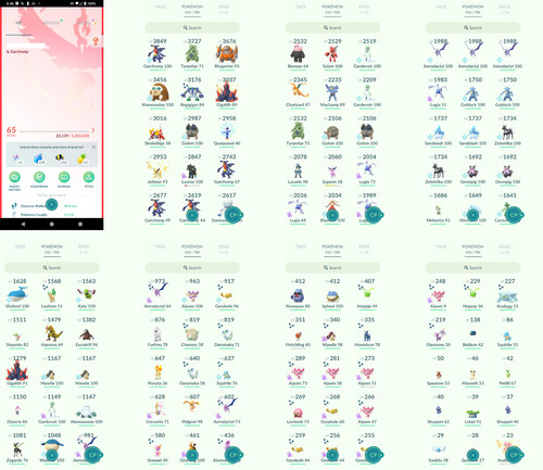 Pokémon acc level - pokémon, go