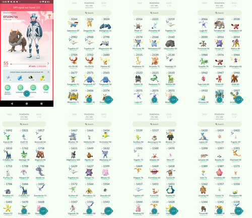 Pokémon acc level 55 - acc,