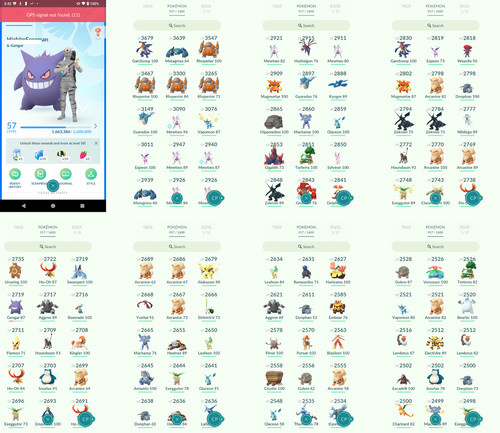 Pokémon acc level - acc,