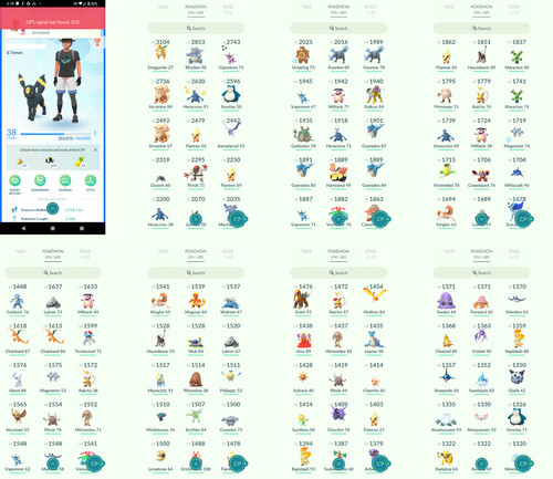 Pokémon acc level 6 - pokémon,