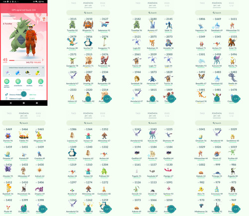 Pokémon acc level 3 - -, 45
