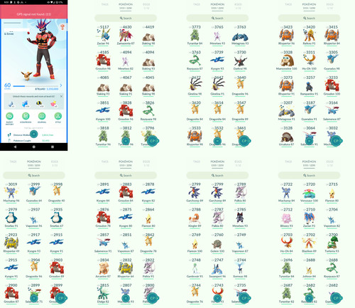Pokémon acc level 60 - acc,
