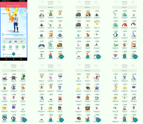 Pokémon acc level 55 - acc,