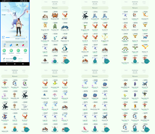 Pokémon acc level 6 - go,