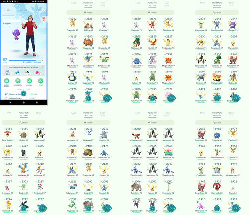 Pokémon acc level 9 - pokémon,