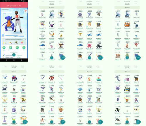 Pokémon acc level - acc, go