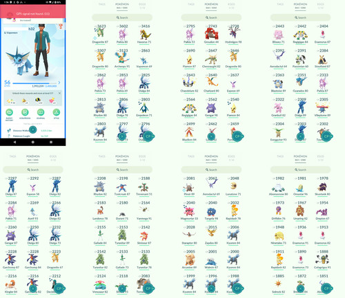 Pokémon acc level - -,