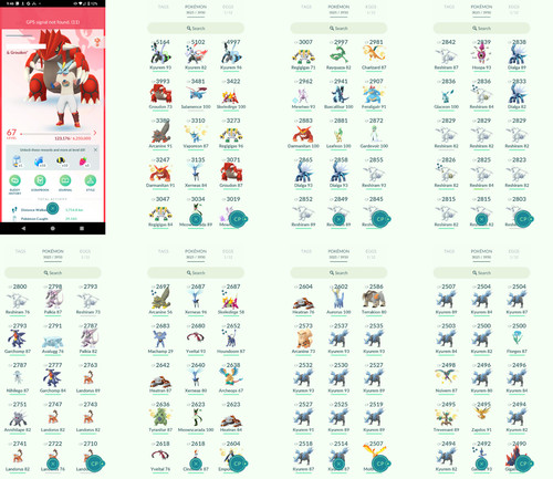 Pokémon acc level 67 - pokémon,
