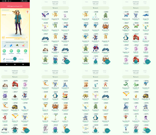 Pokémon acc level 60 - pokémon,