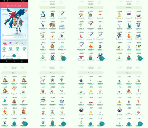 Pokémon acc level - acc,