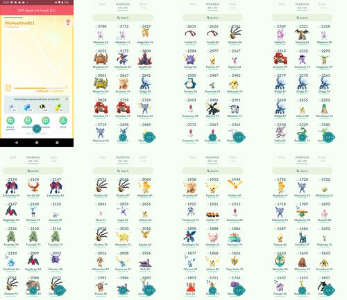 Pokémon acc level 55 - pokémon,