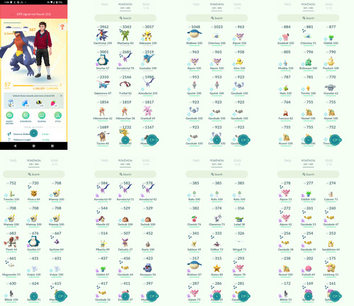 Pokémon acc level - acc,