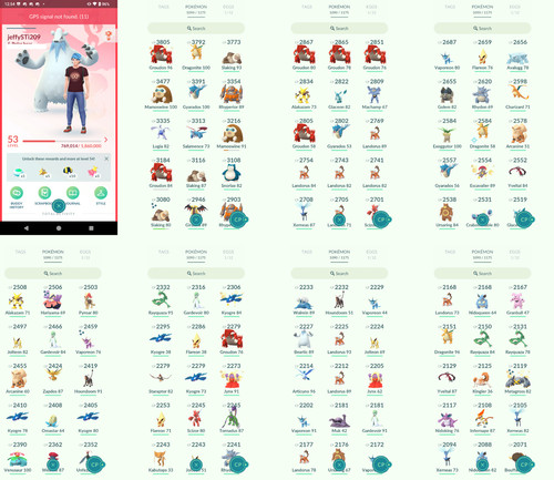 Pokémon acc level 53 - pokémon,