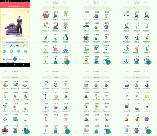 Pokémon acc level 55 - pokémon,