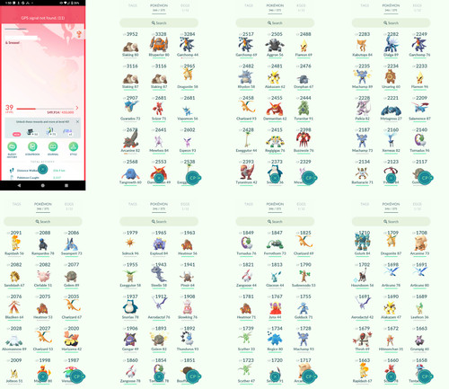 Pokémon acc level 39 - acc, go