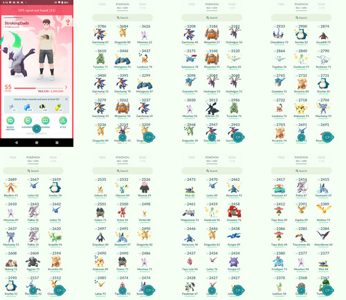 Pokémon acc level 55 - pokémon,