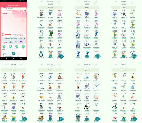 Pokémon acc level - go,