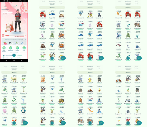 Pokémon acc level - acc, go