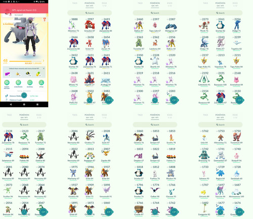 Pokémon acc level 48 - go,