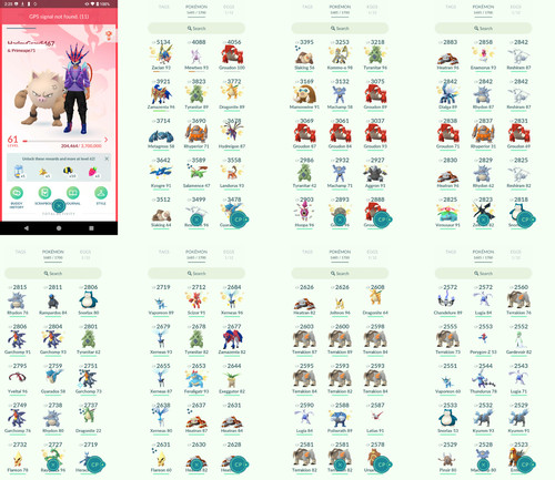 Pokémon acc level 61 - go,