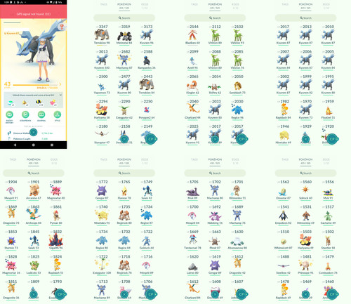 Pokémon acc level - acc, 43