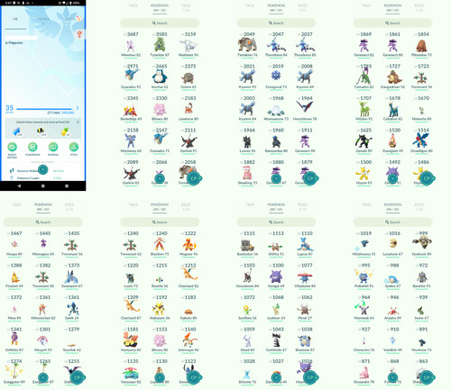 Pokémon acc level 35 - acc,