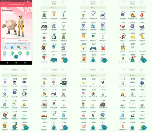 Pokémon acc level 9 - acc, 40