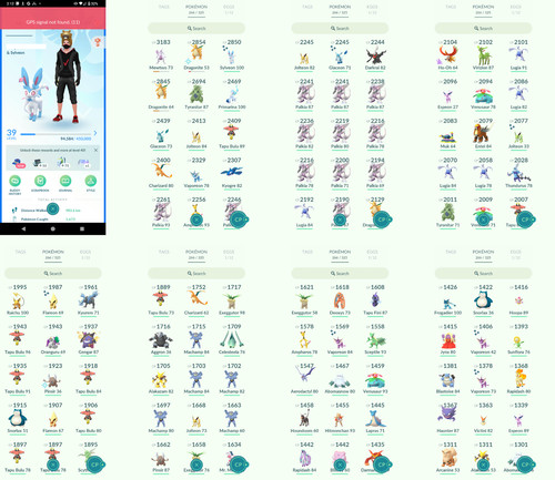 Pokémon acc level 39 - -,